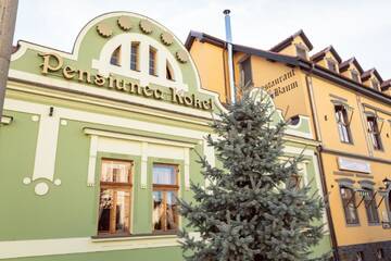 Фотографии Отель Pension Kokel г. Dumbrăveni (Румыния) №3 Фото Отель Pension Kokel г. Dumbrăveni 3